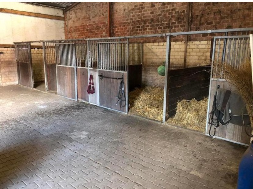 Stalling en weidegang . Rijbijk longeercirkel, Dieren en Toebehoren, Stalling, 2 of 3 paarden of pony's