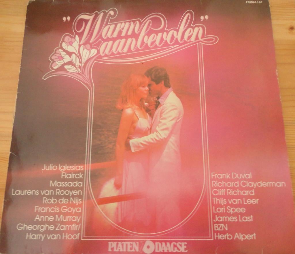 Warm aanbevolen ( LP), Ophalen of Verzenden, Gebruikt, 12 inch, Levenslied of Smartlap
