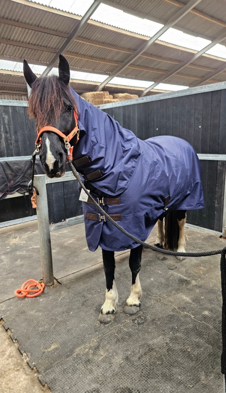 Kentucky classic all weather deken 7,0 + hals, Dieren en Toebehoren, Paarden en Pony's | Dekens en Dekjes, Ophalen of Verzenden