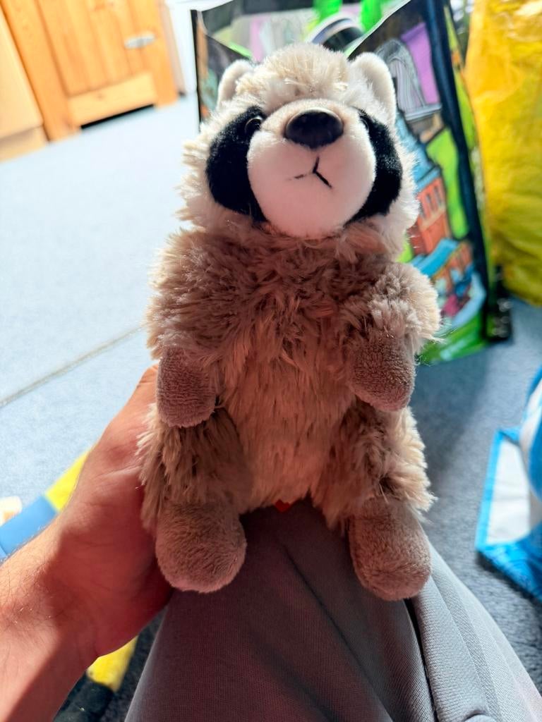 Wasbeer knuffel, Ophalen of Verzenden, Zo goed als nieuw, Overige typen
