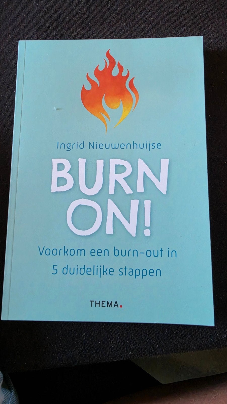 Burn On! Voorkom een burn-out in 5 duidelijke stappen, Ophalen of Verzenden, Zo goed als nieuw, Ingrid Nieuwenhuijse