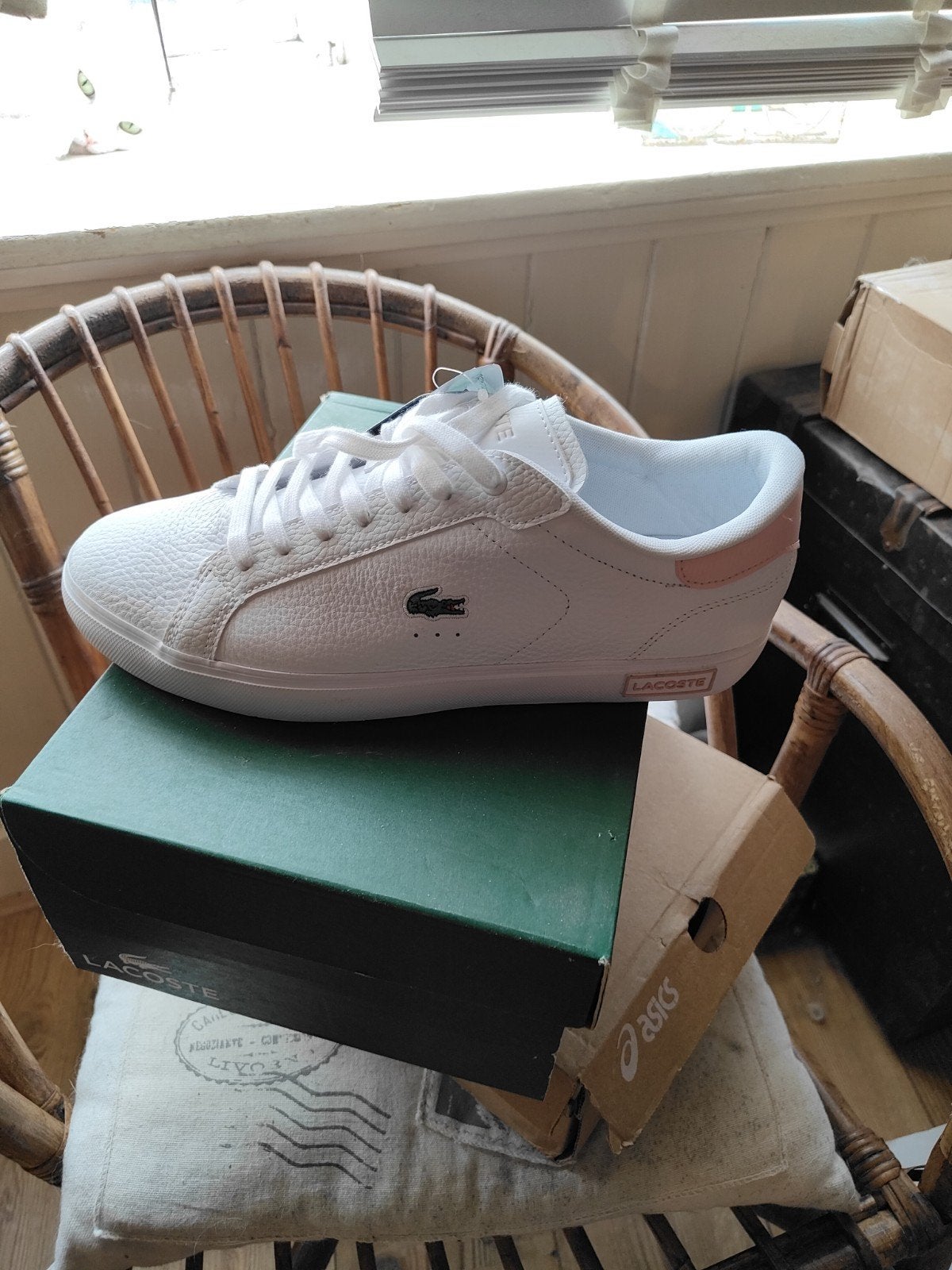 Lacoste sneakers maat 42 - Nieuw in doos, Wit, Nieuw, Ophalen of Verzenden, Sneakers of Gympen