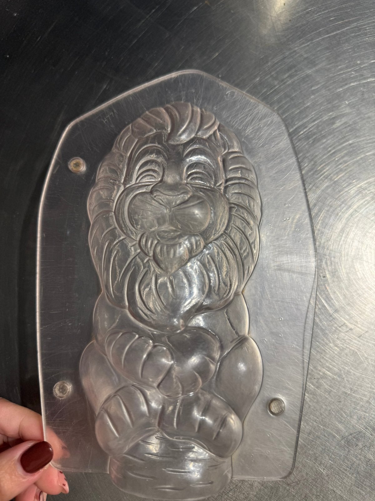 Holfiguur chocolade leeuw, Ophalen of Verzenden