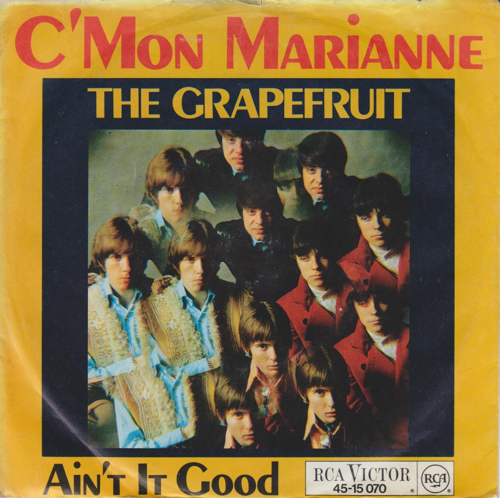 GRAPEFRUIT - C'mon Marianne, Fotohoes, Ophalen of Verzenden, Gebruikt, Pop