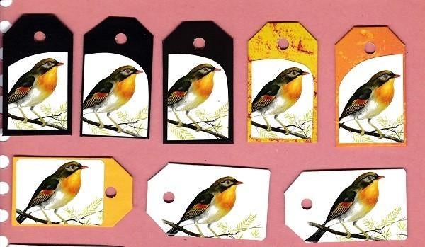 0212) vogels labeltjes, Verzamelen, Dierenverzamelingen, Zo goed als nieuw, Overige typen, Vogel, Ophalen of Verzenden