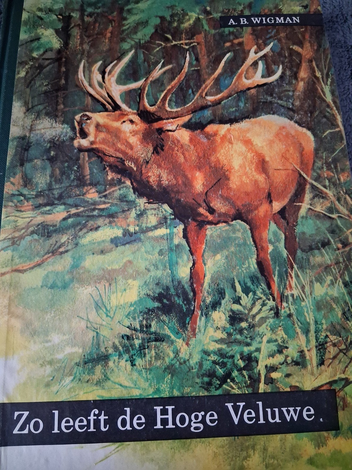 zo leeft de Hoge Veluwe, Boeken, Natuur algemeen, AB Wigman, Ophalen, Gelezen