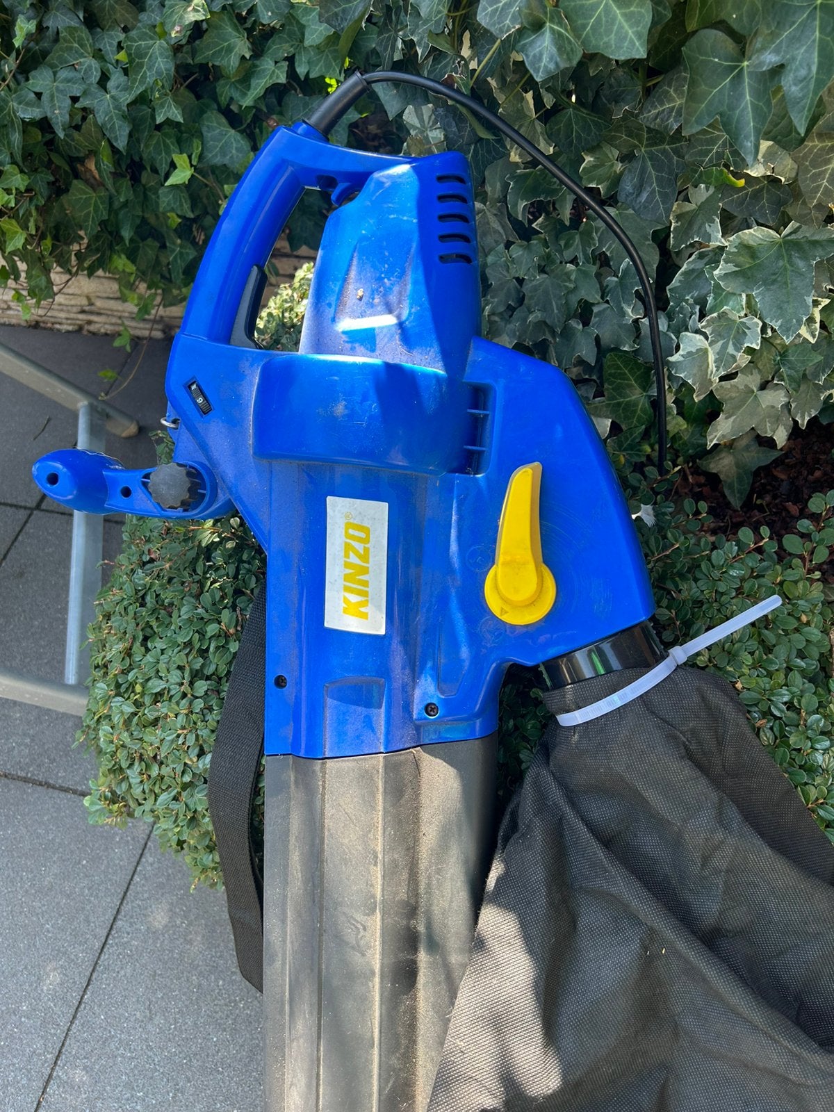Bladblazer te koop, Ophalen, Zo goed als nieuw, Elektrisch