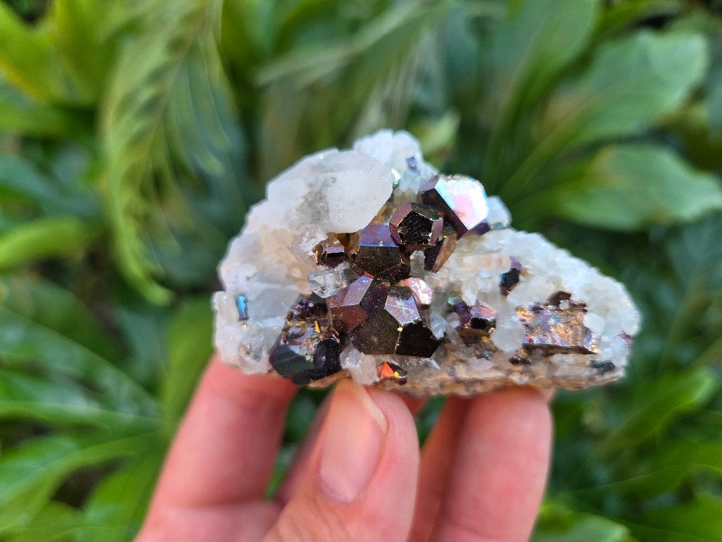 Regenboog Pyriet Indonesië, Ophalen of Verzenden, Mineraal