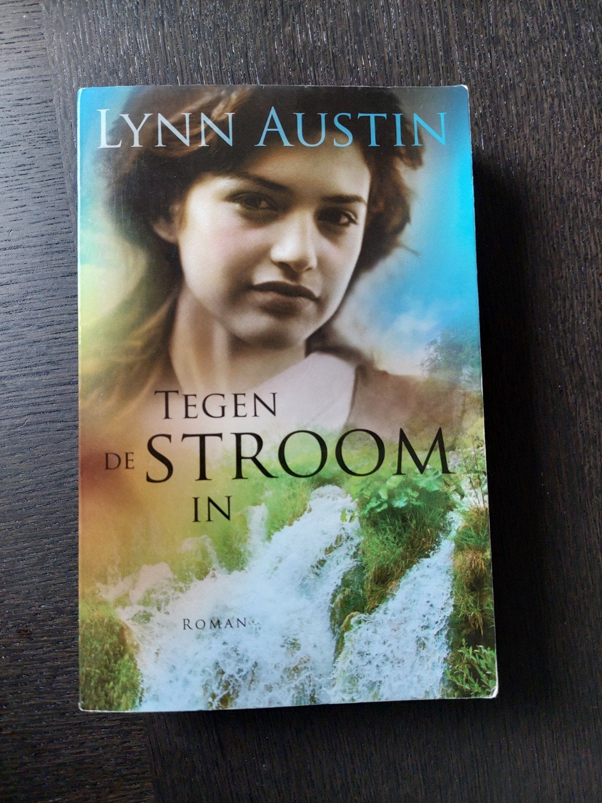 Tegen de Stroom In - Lynn Austin (Roman), Ophalen of Verzenden, Zo goed als nieuw, Lynn Austin