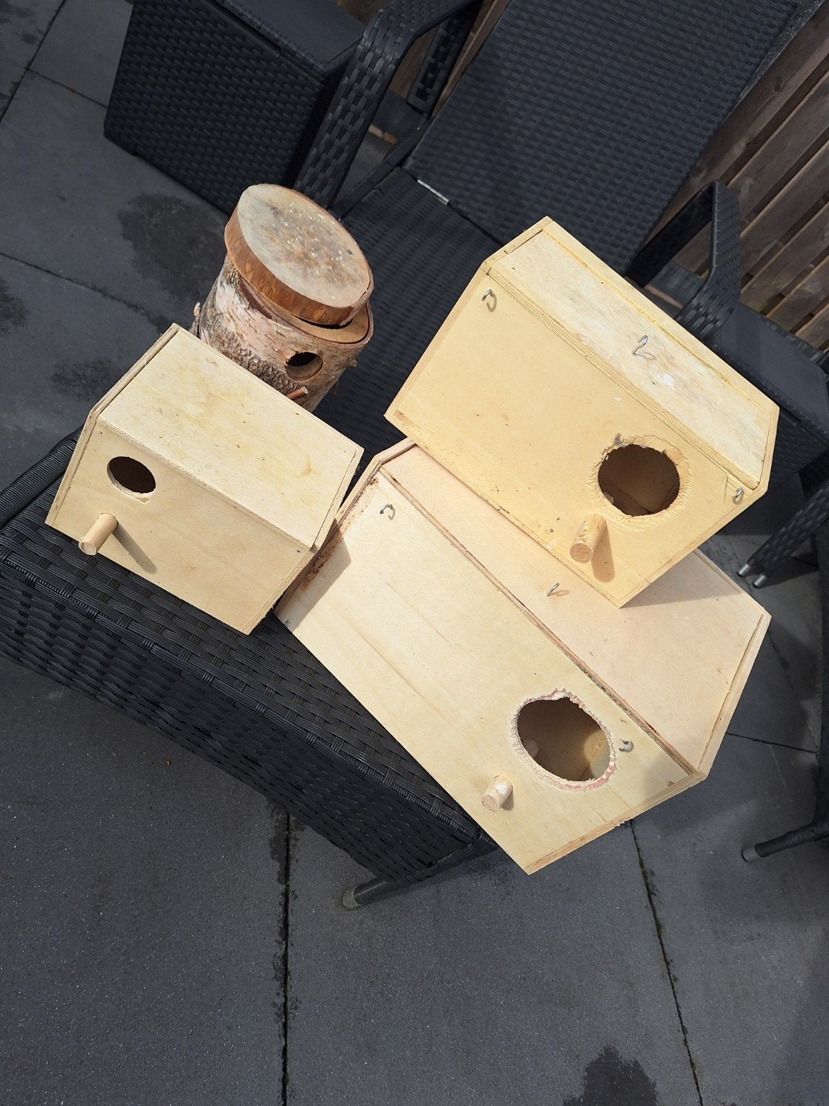 Verschillende vogel attributen, Ophalen, Eten en Drinken