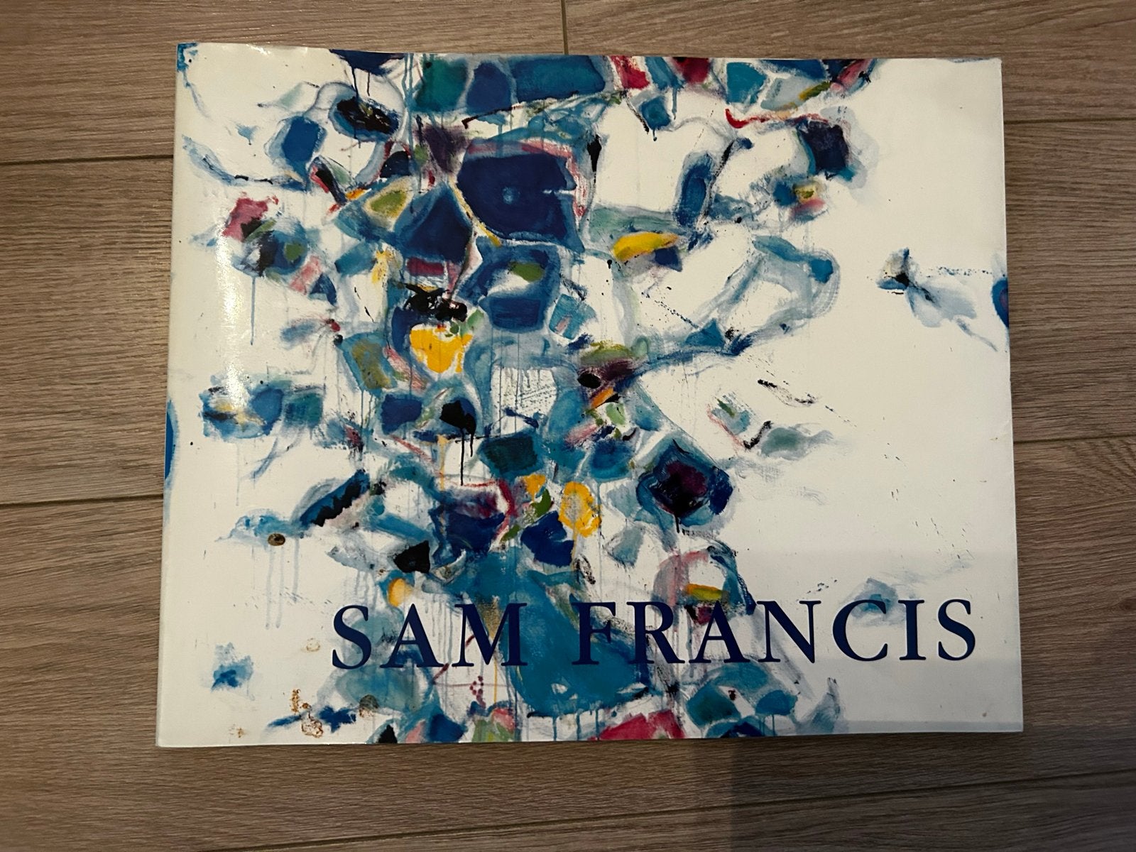 Sam Francis - Gallery Delaive Catalogus (1999), Ophalen of Verzenden, Zo goed als nieuw, Overige onderwerpen