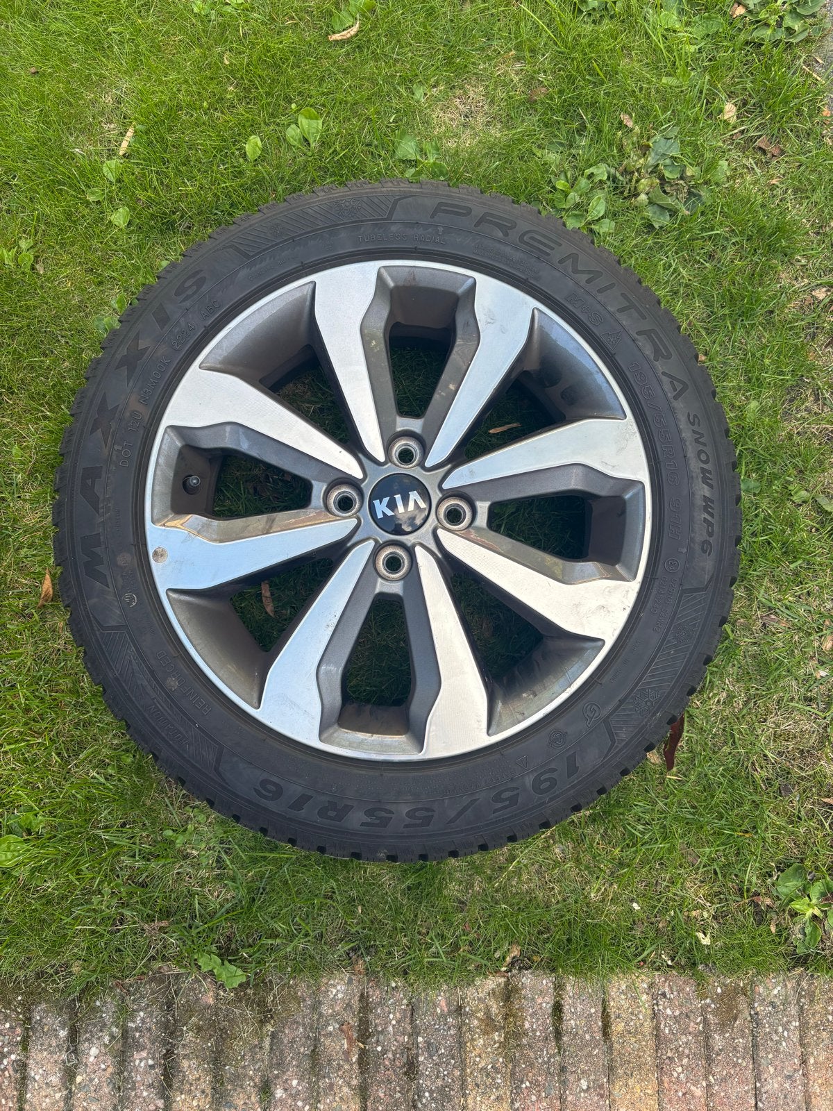 Kia 16 inch velgen met winterbanden 195/55R16, Auto-onderdelen, Banden en Velgen, Ophalen, Gebruikt, 16 inch, Banden en Velgen