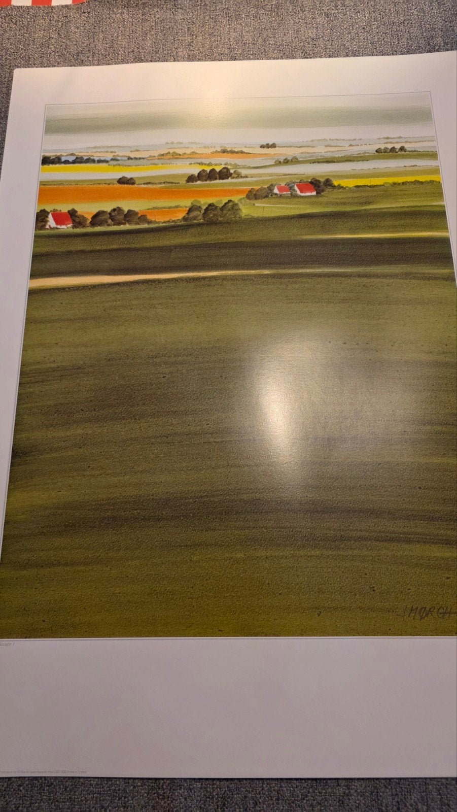 Jytte Mørch - Landscape 1 - poster 50x70cm, 1950 - 1999, Ophalen of Verzenden, Gesigneerd, Landschap
