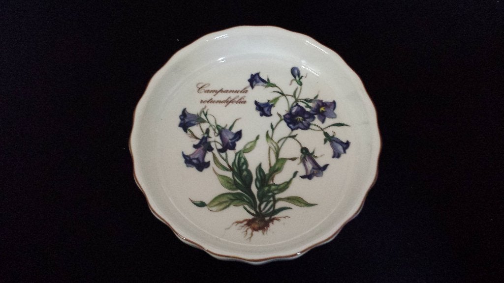 Villeroy & Boch SCHAALTJE Botanica ~ Tartelet / Quiche Vorm, Villeroy & Boch, Ophalen of Verzenden, Overige stijlen, Porselein