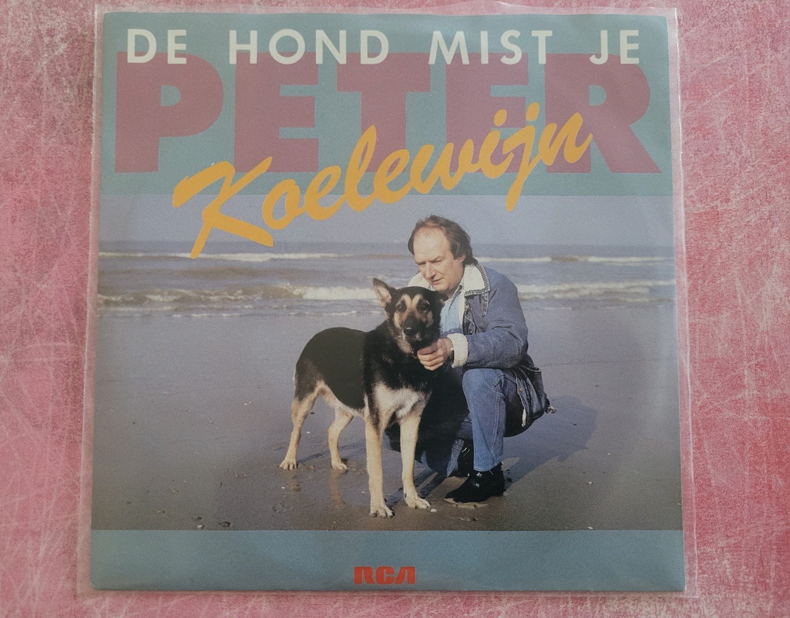 Peter Koelewijn - De hond mis je ., Cd's en Dvd's, Ophalen, Zo goed als nieuw, Overige formaten, Levenslied of Smartlap