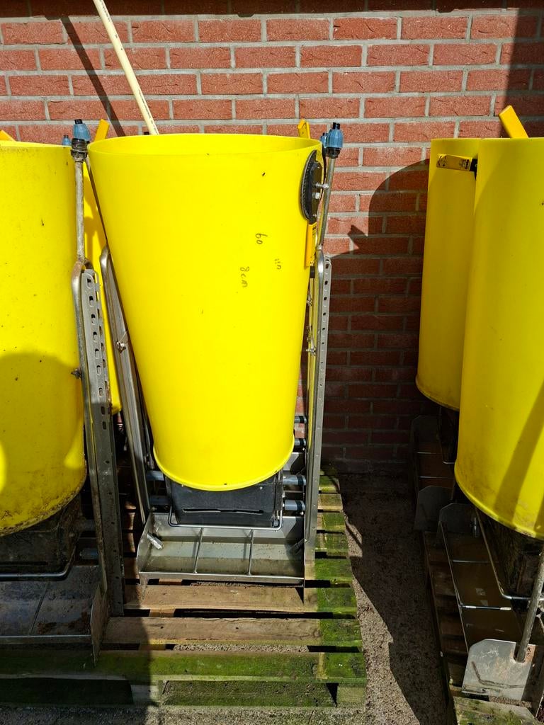 Voerbakken biggen, Meerdere dieren, Varken