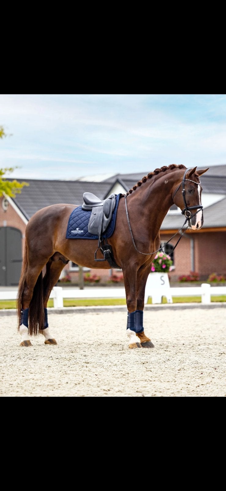 Nieuw! Zadeldek equestrian stockholm full dr, Dieren en Toebehoren, Full (L), Ophalen of Verzenden, Nieuw, Dressuurdekje
