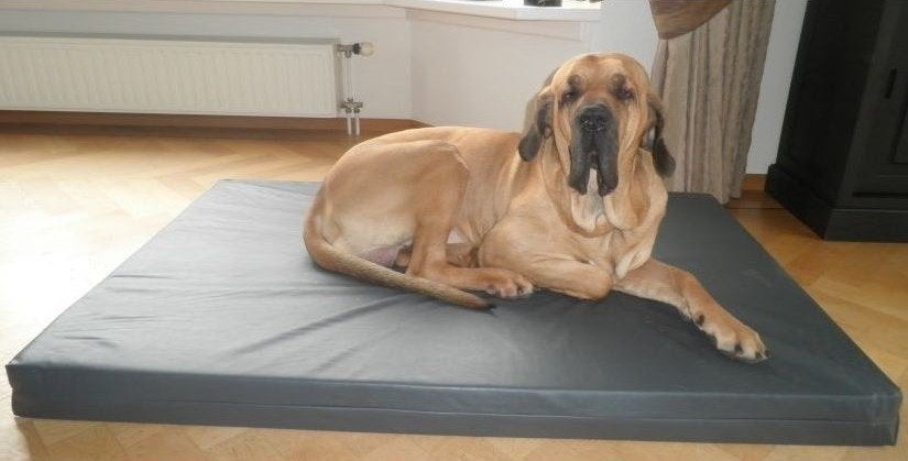 Honden Mand Hondenkussen Hondenbed HD - Diverse Maten!, Ophalen of Verzenden, Nieuw, Overige