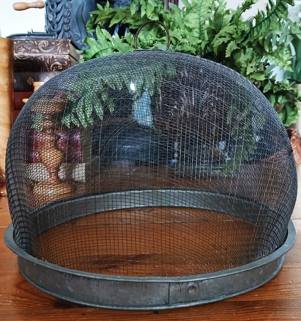 Foodcover cloche gaas gaasstolp vliegenkap gaascloche, Ophalen of Verzenden