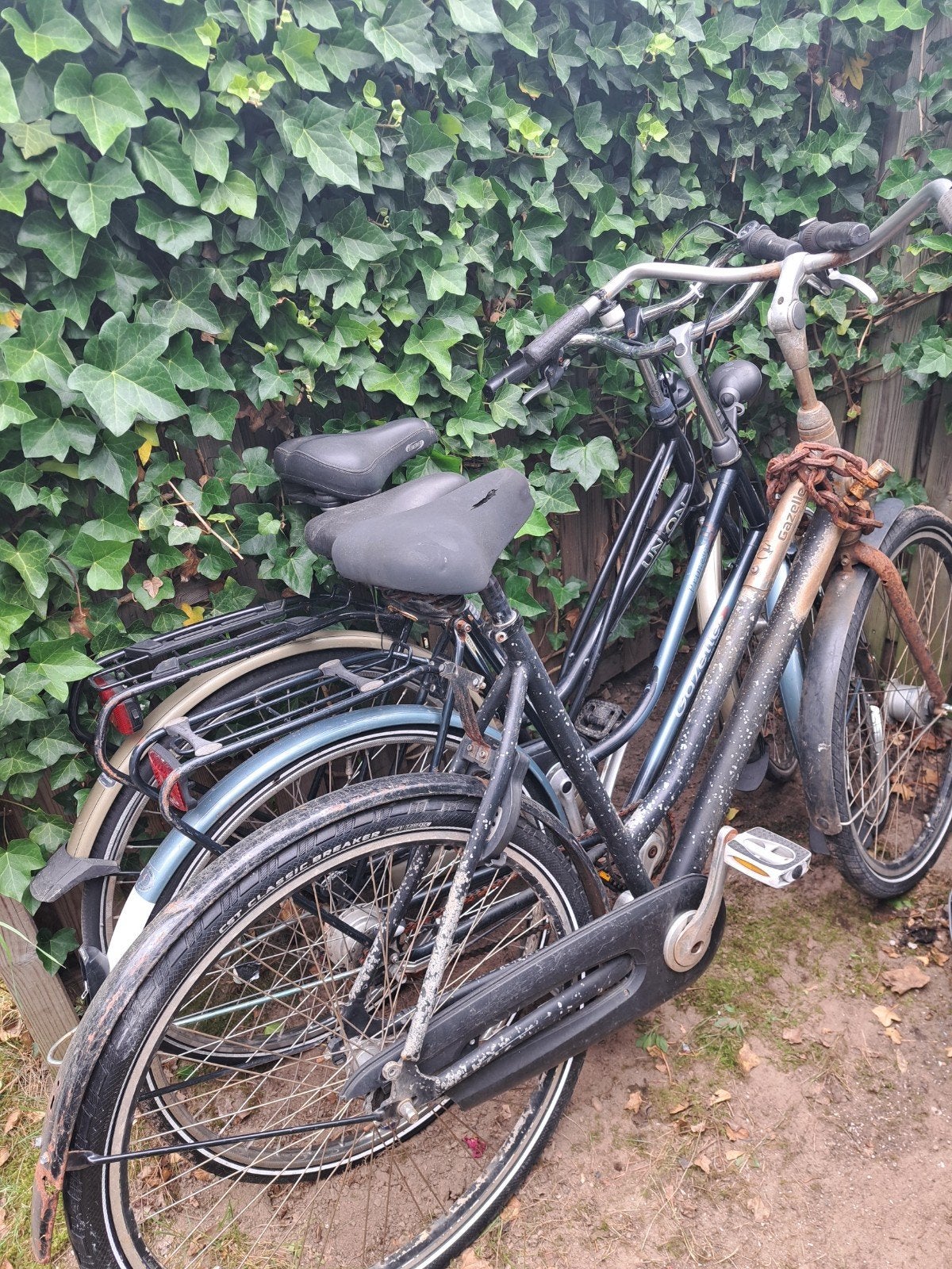 Oude damesfietsen - Gazelle en Union, Overige merken, Terugtraprem, Ophalen of Verzenden, 53 tot 56 cm