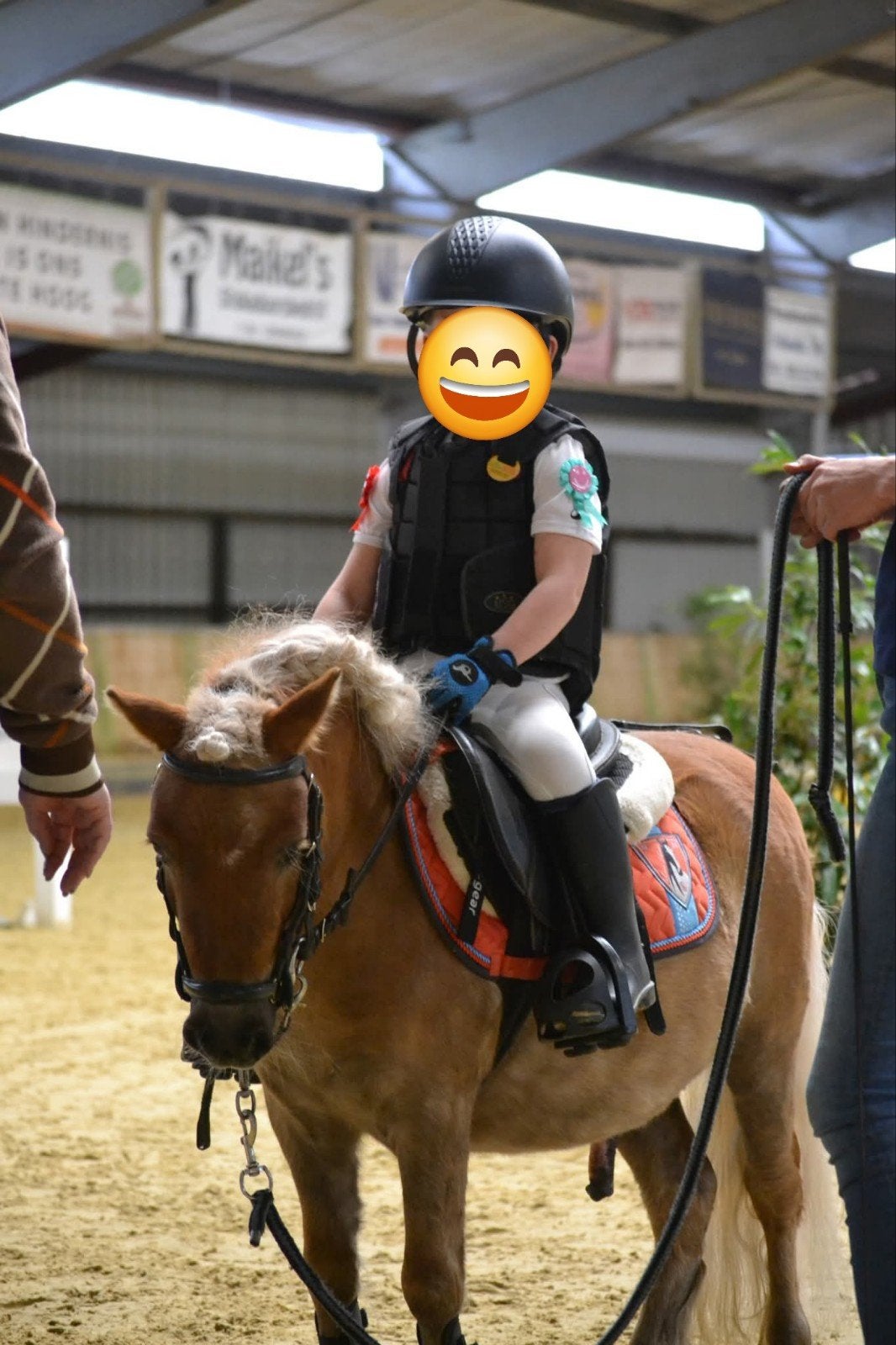Familiepony, Bixiepony, Menpony, Dieren en Toebehoren, Pony's, Ruin, B, A pony (tot 1.17m), 3 tot 6 jaar, Gechipt, Ingeënt