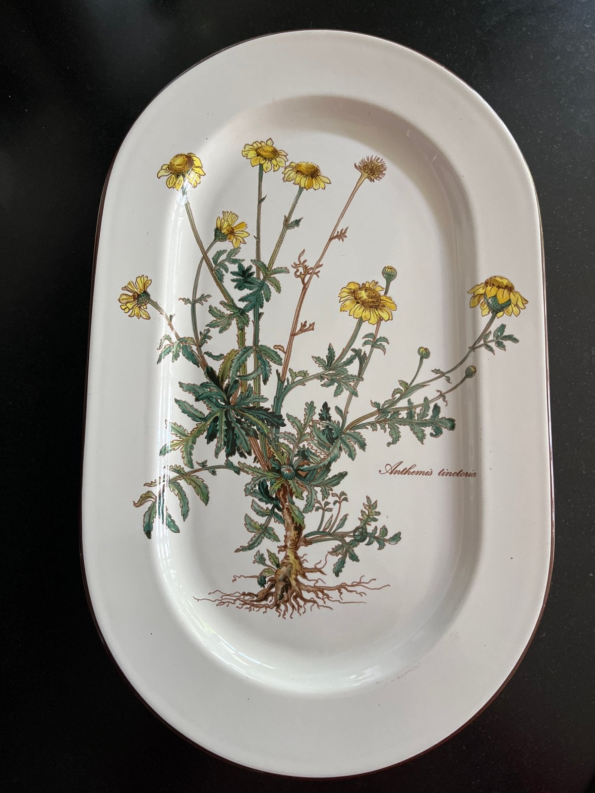 Villeroy & Boch Botanica Ovale Schaal - Anthemis tinctoria, Klassiek, Villeroy & Boch, Ophalen of Verzenden, Porselein