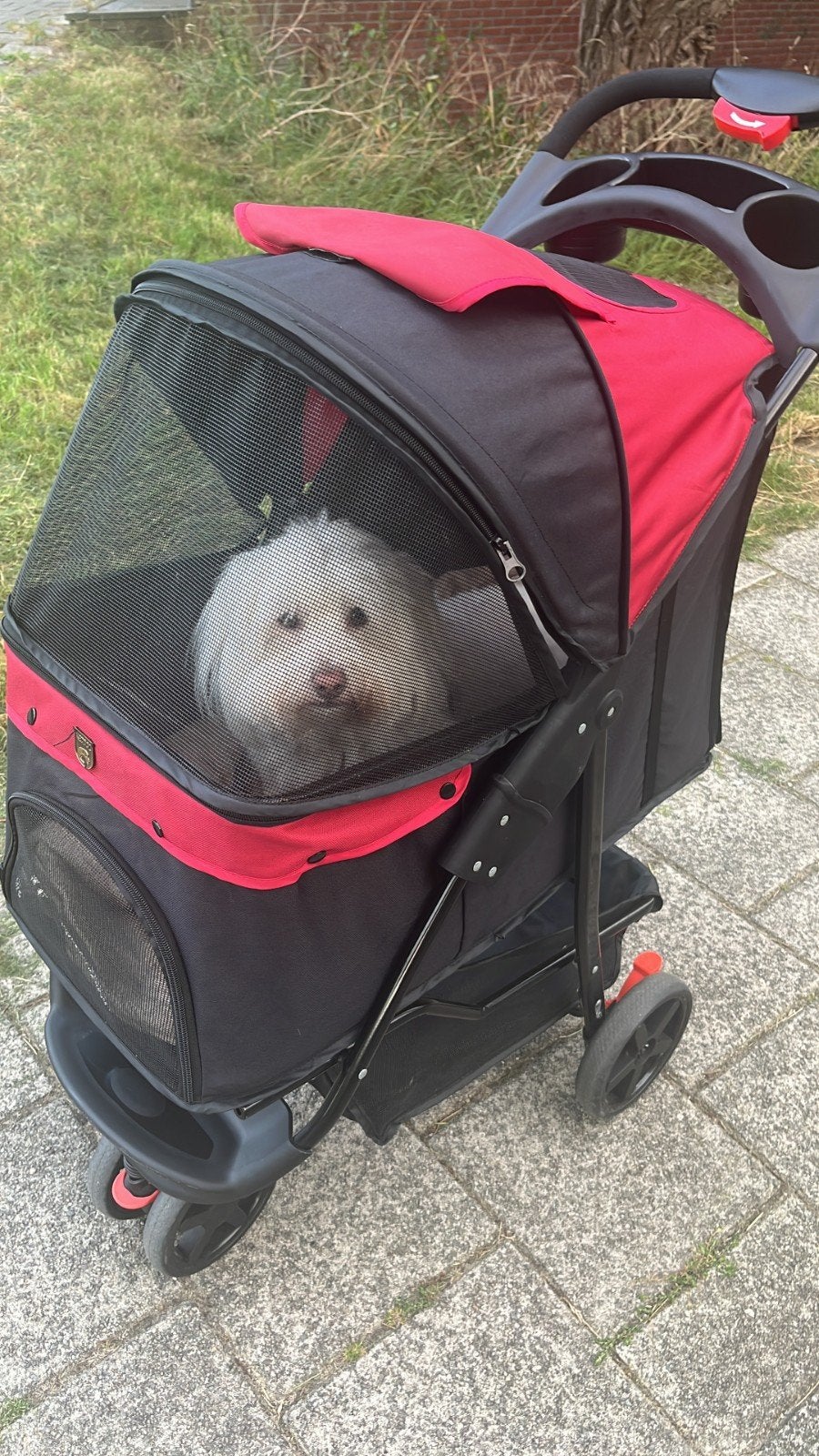 honden buggy/ wandelwagen, Dieren en Toebehoren, Ophalen, Zo goed als nieuw