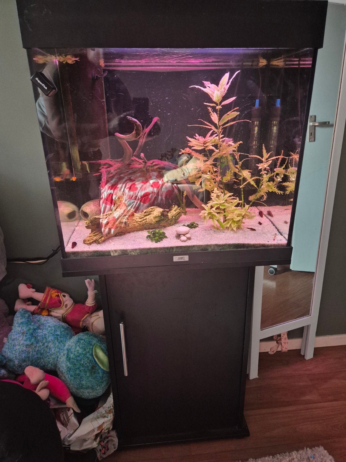 juwel lido 120, Ophalen, Gebruikt, Inclusief vissen, Gevuld zoetwateraquarium