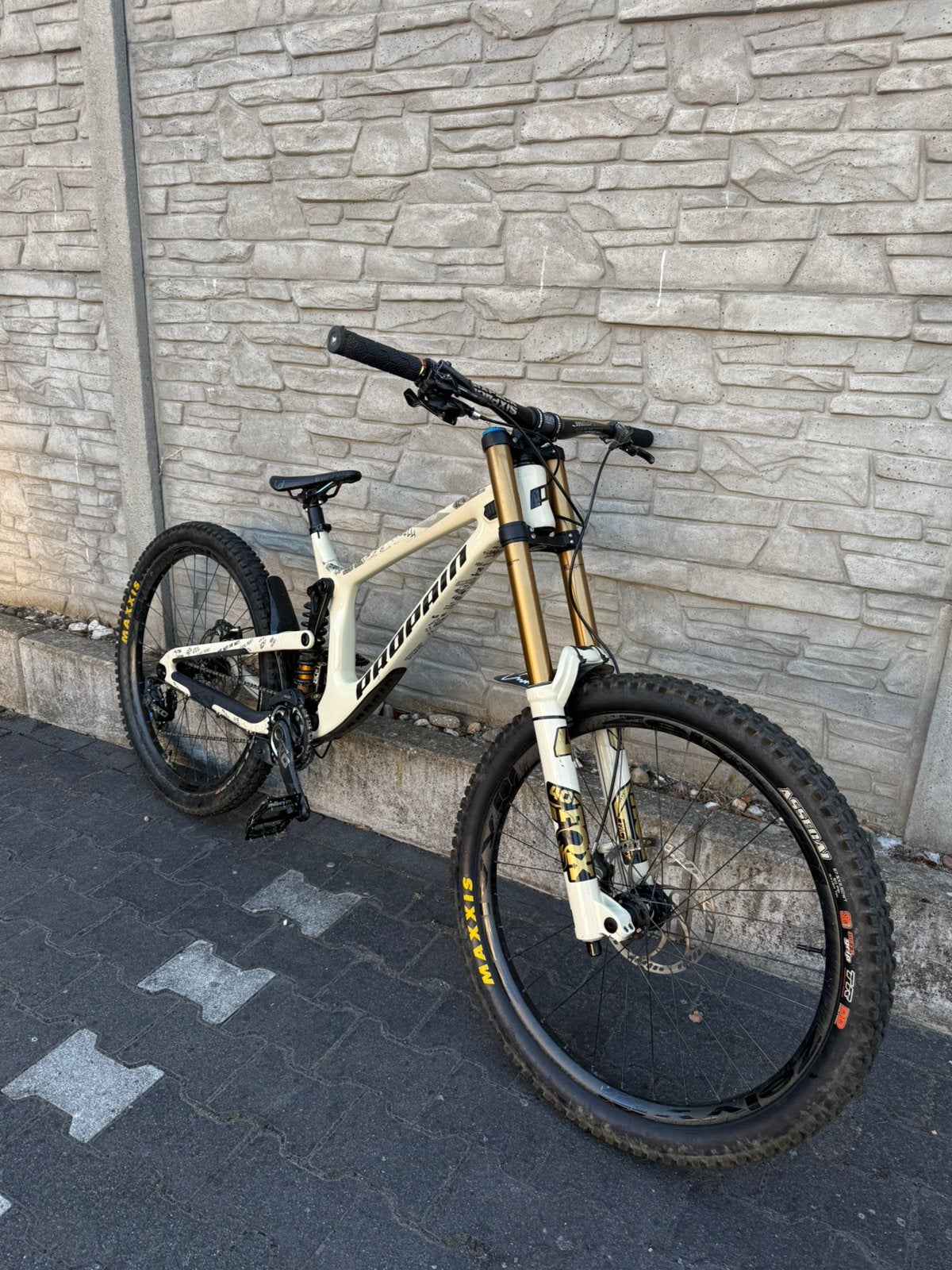 Propain Rage 2 CF Custom 2021! Downhill Freeride bike, Fietsen en Brommers, Fietsen | Mountainbikes en ATB, Fully, Ophalen of Verzenden