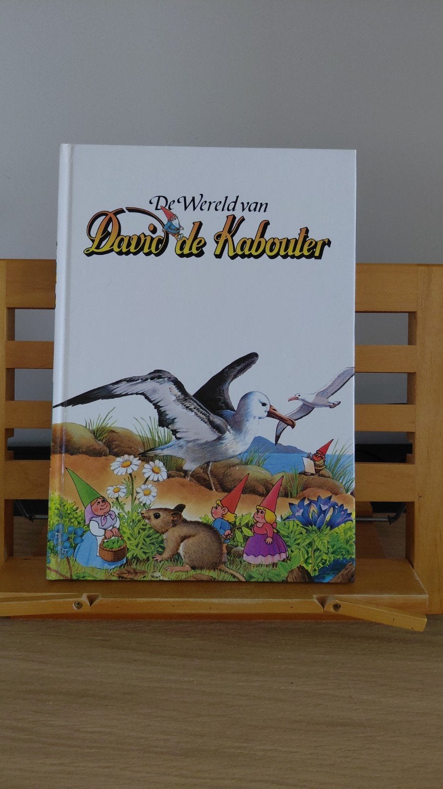 De Wereld van David de Kabouter - Boek, Ophalen of Verzenden, Zo goed als nieuw, Wil Huygen, Sprookjes