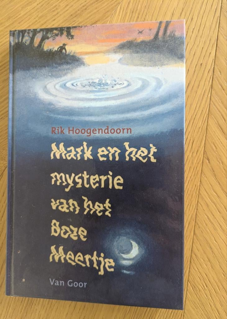Mark en het mysterie van het Boze Meertje - Rik Hoogendoorn, Boeken, Ophalen of Verzenden, Gelezen, Rik Hoogendoorn, Fictie algemeen