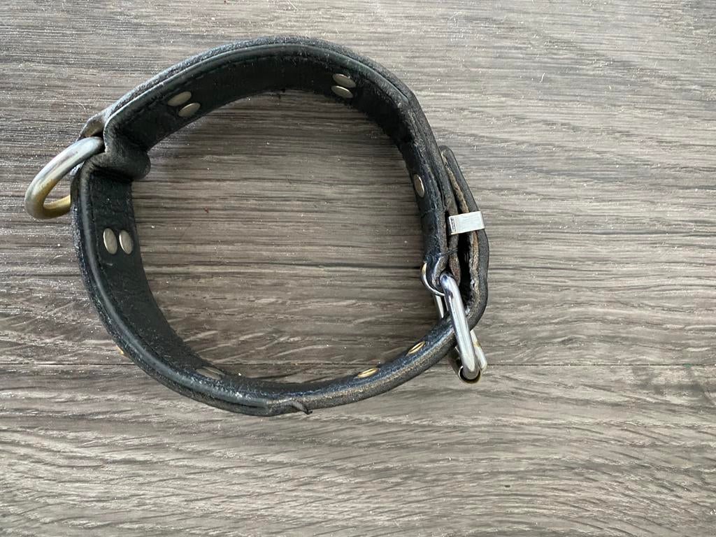 Honden halsband, Ophalen, Zo goed als nieuw