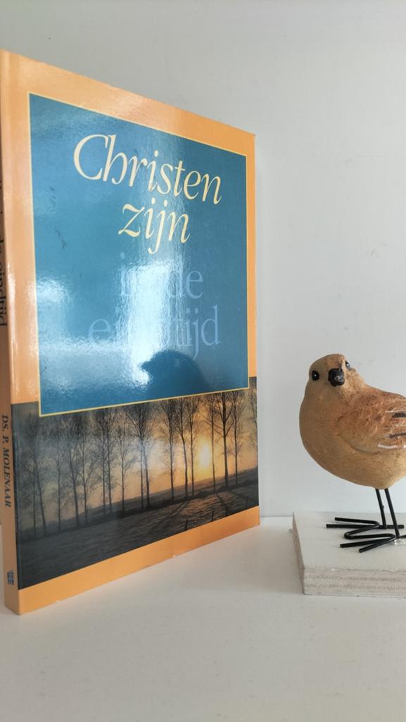 Molenaar, Ds. P.; Christen zijn in de eindtijd, Boeken, Ophalen of Verzenden, Gelezen, Christendom | Protestants