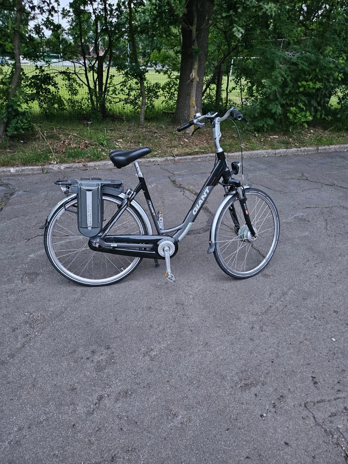 giant twist, Ophalen, Gebruikt, Minder dan 30 km per accu, Giant