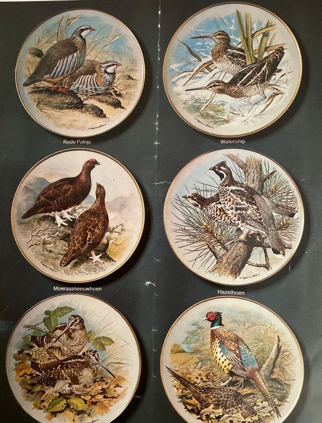 Franklin Mint Sierborden Jachtvogels Collectie, Ophalen