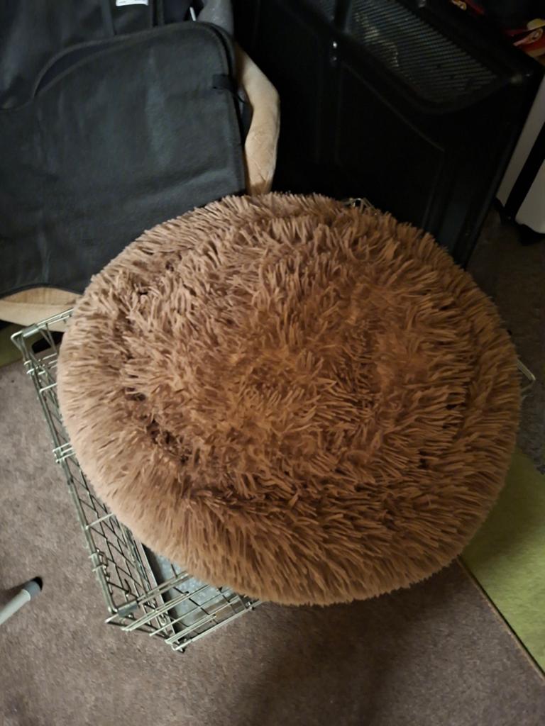 Gratis donutmand kleine hond, Ophalen