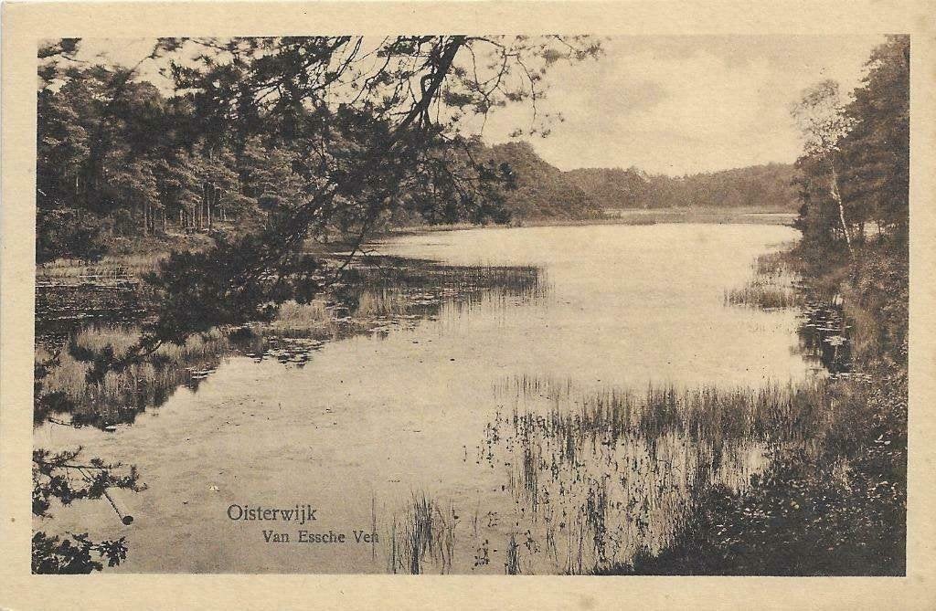 AK Oisterwijk - Van Essche Ven, Verzenden, 1920 tot 1940, Ongelopen, Noord-Brabant