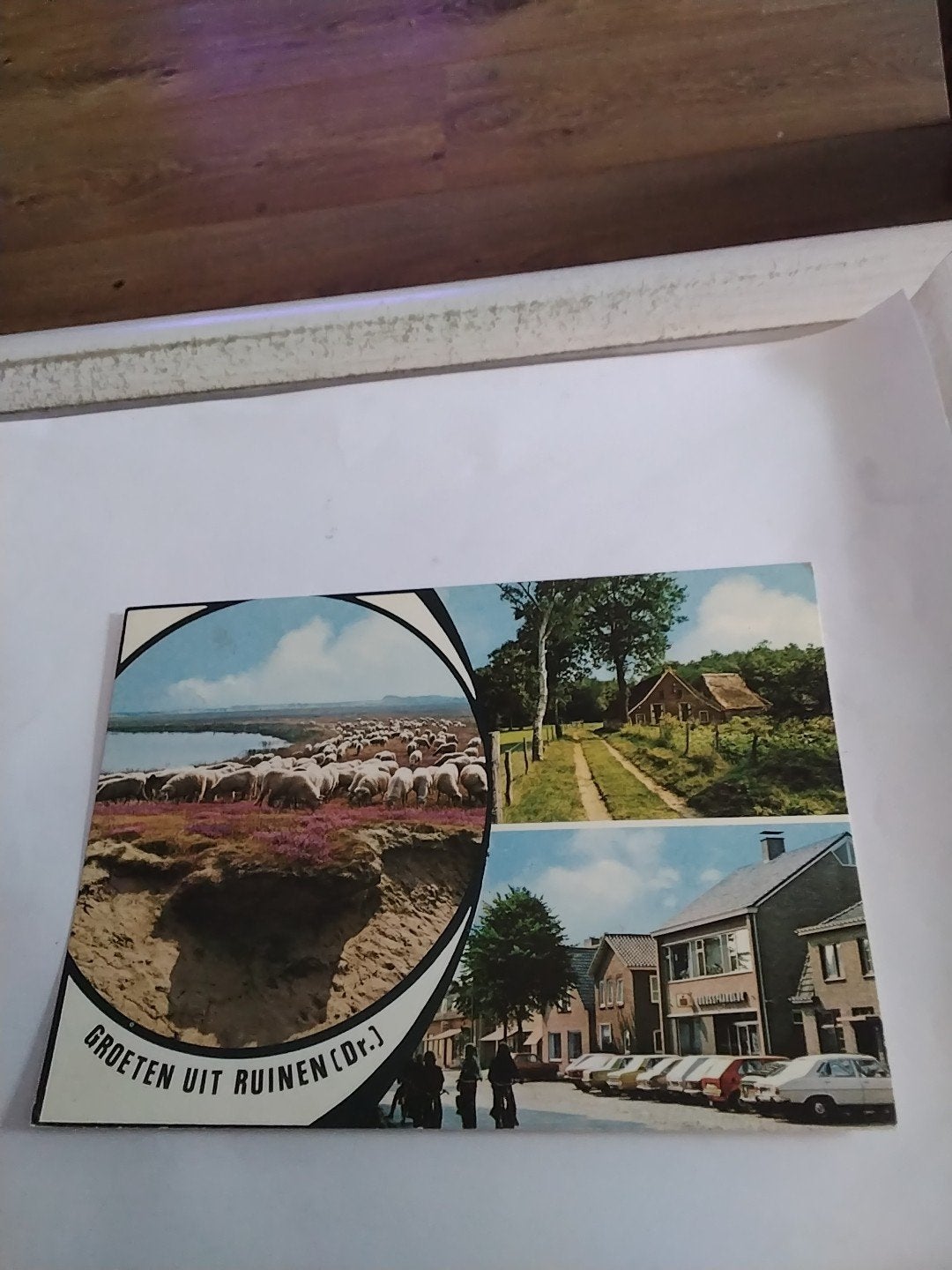 Oude Ansichtkaart Groeten uit Ruinen (Dr.) - Schaapskudde, Ophalen of Verzenden