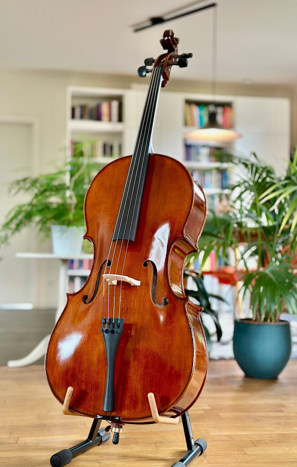 Prachtige nieuwe cello - Massief hout - 4/4, Ophalen of Verzenden, Nieuw, 4/4-cello, Met koffer