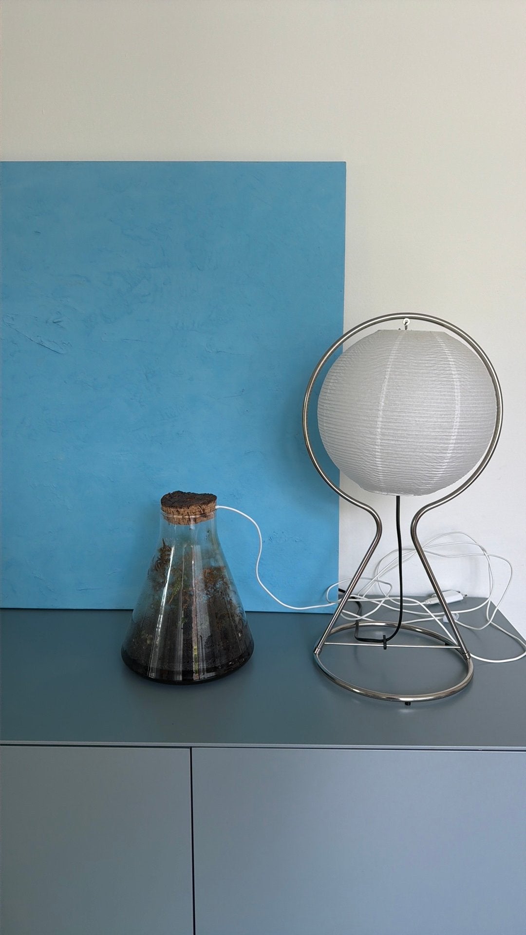 Mooi planten terrarium glas woonkamer plants glass light, Huis en Inrichting, Ophalen, Zo goed als nieuw, Overige kleuren, Glas