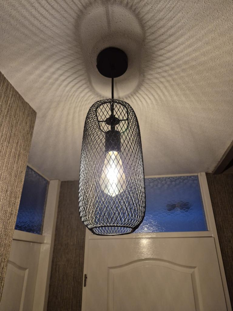 Zwarte ovalen Draadlamp - Hanglamp, Huis en Inrichting, Lampen | Hanglampen, Ophalen of Verzenden, Zo goed als nieuw, Metaal, Modern, Industrieel