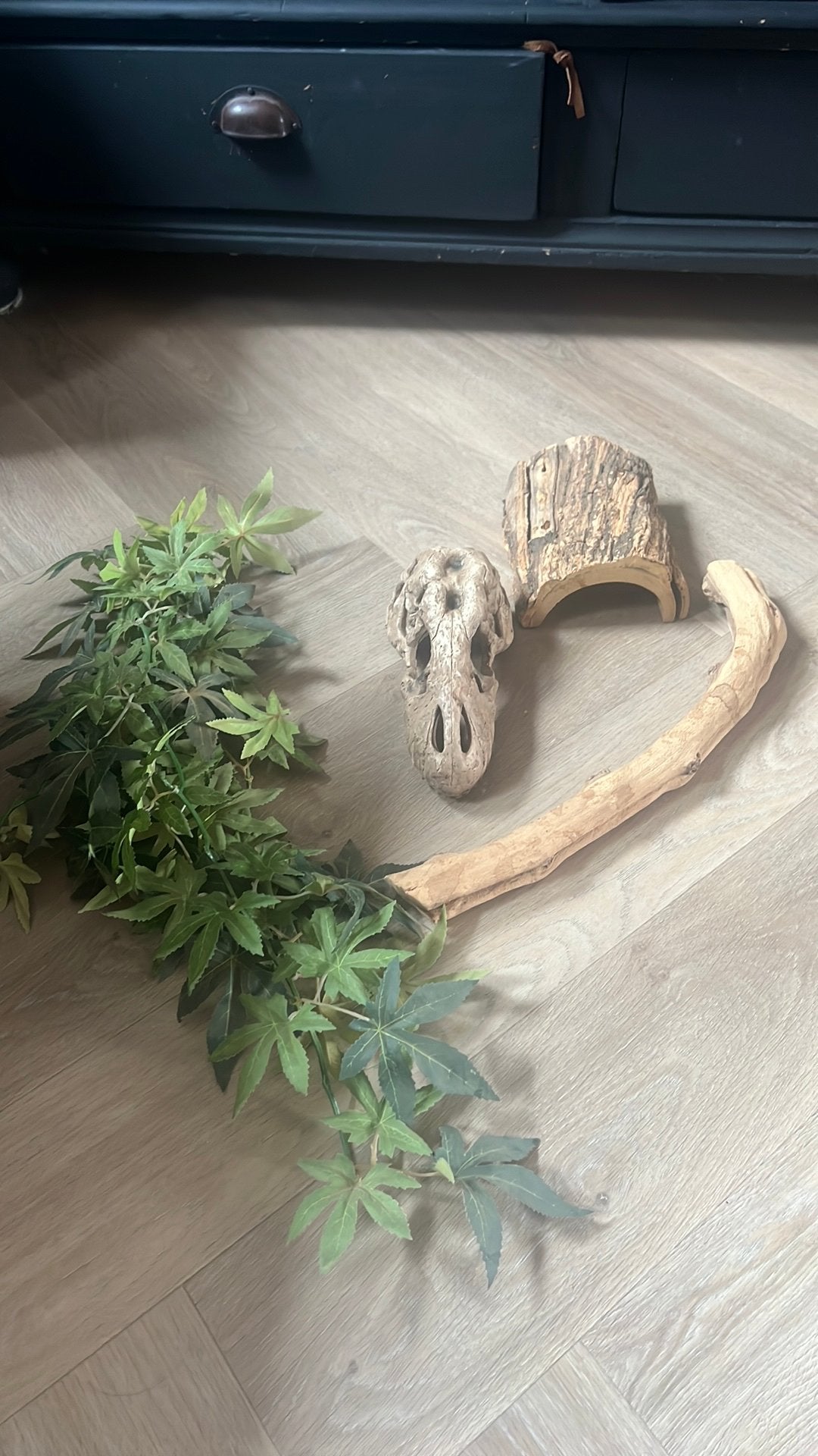 Terrarium benodigdheden te koop, Hagedis
