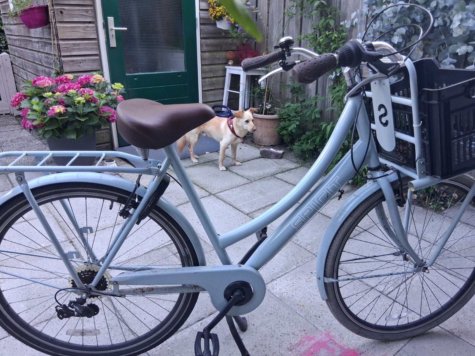 Fiets - KETTING STUK, Fietsen en Brommers, Fietsen | Dames | Damesfietsen, 50 tot 53 cm, Ophalen, Gebruikt, Overige merken