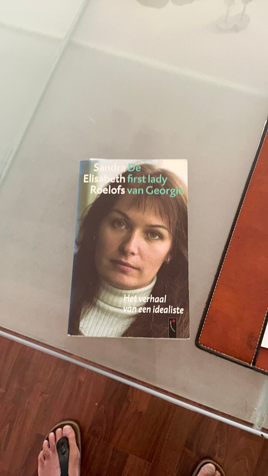 De first lady van Georgie, Ophalen of Verzenden, Politiek