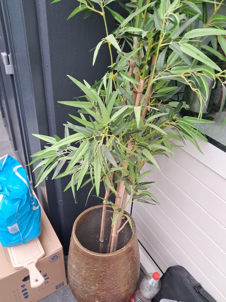 Kunstplanten, Ophalen, Binnen, Gebruikt, Kunstplant