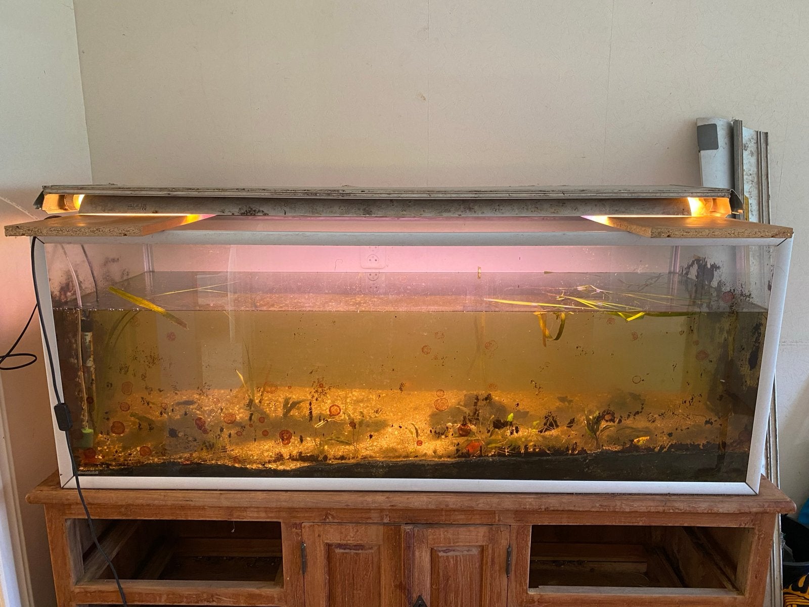 GROOT LEEG AQUARIUM 160x60x55 VRIJDAG OF ZATERDAG OPHALEN!, Ophalen, Gebruikt
