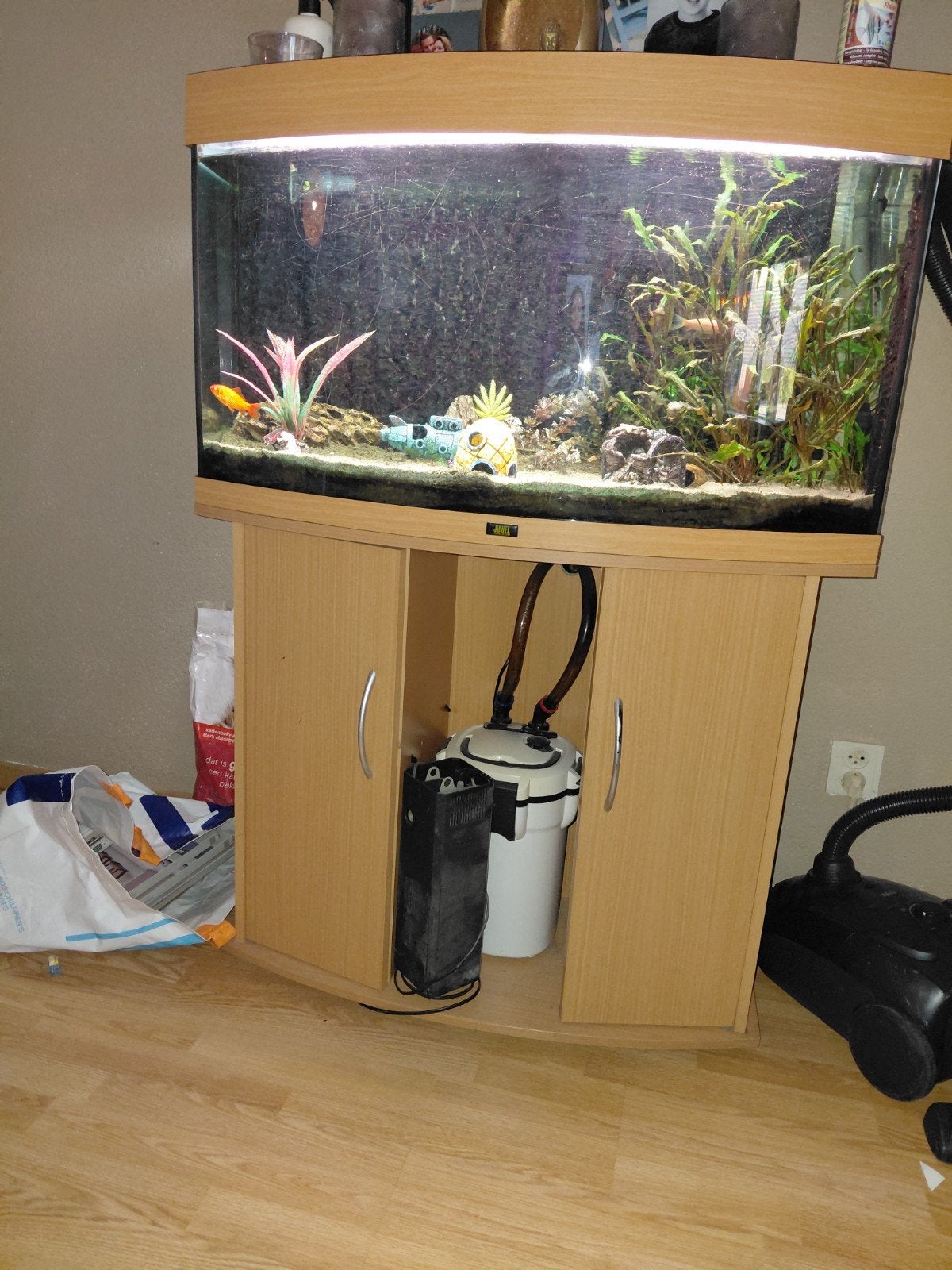 complete aqarium, Ophalen, Inclusief vissen, Gevuld zoetwateraquarium, Juwel