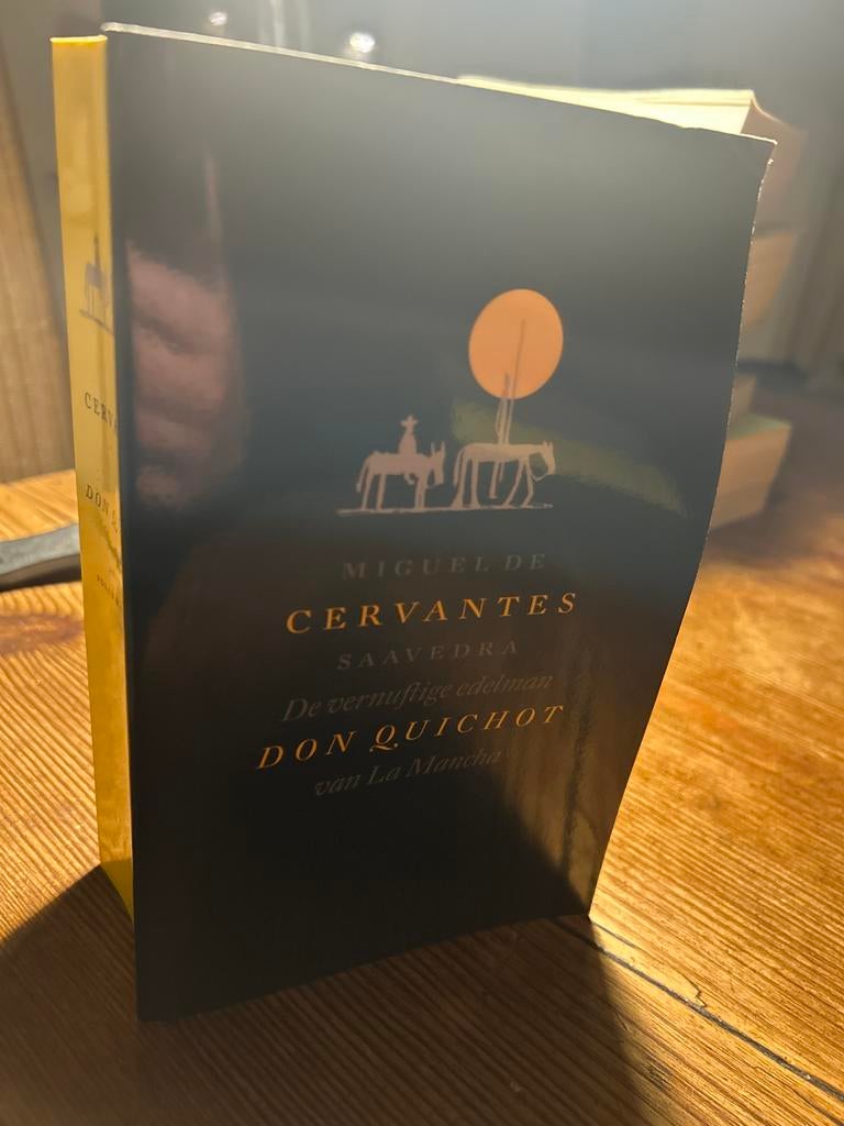 Don Quichot van La Mancha - Miguel de Cervantes, Ophalen of Verzenden, Gelezen, Nederland
