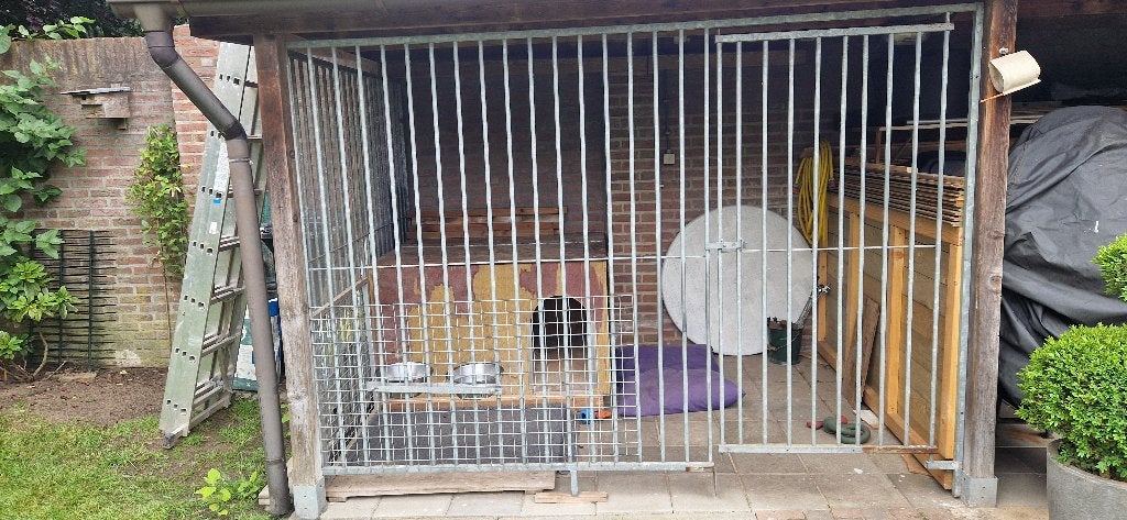 Honden kooi en nachthok, Dieren en Toebehoren, Hondenhokken, Ophalen, 100 cm of meer, Hondenhok, 110 cm of meer