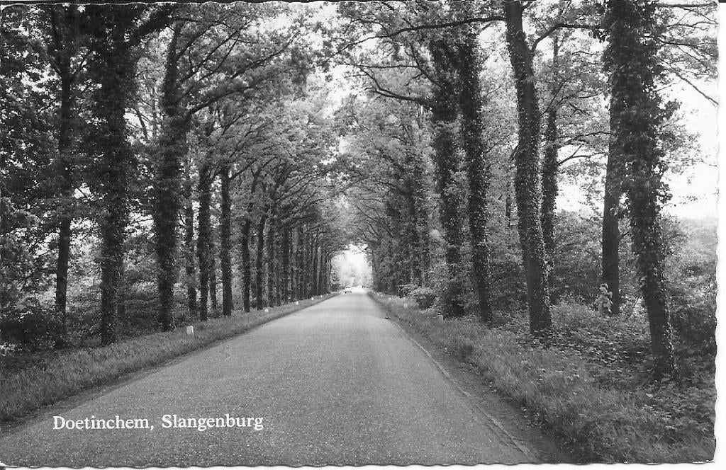 Doetinchem Slangenburg., Ophalen of Verzenden, 1960 tot 1980, Ongelopen, Gelderland